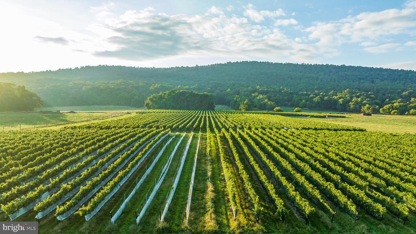 14727 MOUNTAIN RD, HILLSBORO, Virginia 20132, 7 Bedrooms Bedrooms, ,4 BathroomsBathrooms,Farm,For Sale,14727 MOUNTAIN RD,VALO2091860 MLS # VALO2091860