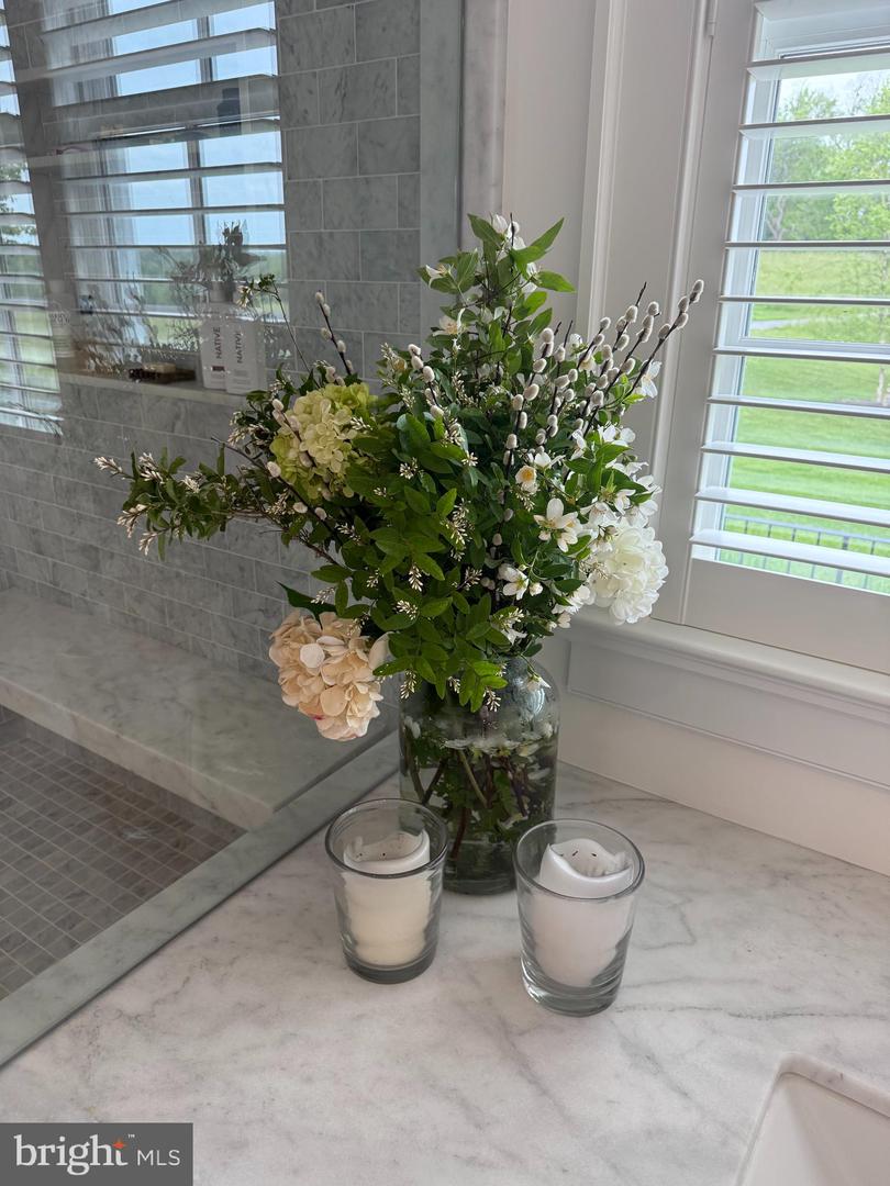 THE PLAINS, Virginia 20198, 7 Bedrooms Bedrooms, 40 Rooms Rooms,9 BathroomsBathrooms,Residential,For Sale,VAFQ2016064 MLS # VAFQ2016064