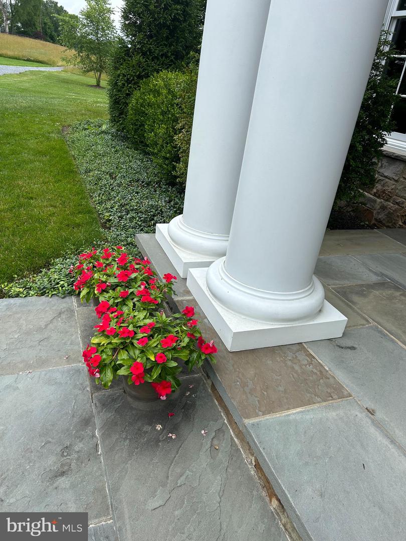 THE PLAINS, Virginia 20198, 7 Bedrooms Bedrooms, 40 Rooms Rooms,9 BathroomsBathrooms,Residential,For Sale,VAFQ2016064 MLS # VAFQ2016064