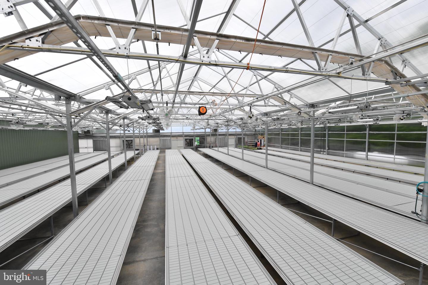 1070 WADESVILLE RD, BERRYVILLE, Virginia 22611, ,Farm,For Sale,1070 WADESVILLE RD,VACL2003758 MLS # VACL2003758