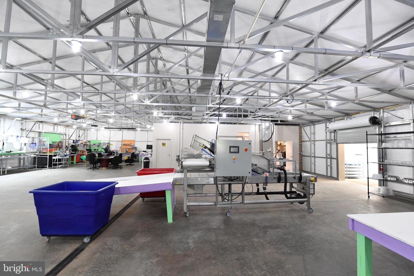 1070 WADESVILLE RD, BERRYVILLE, Virginia 22611, ,Farm,For Sale,1070 WADESVILLE RD,VACL2003758 MLS # VACL2003758