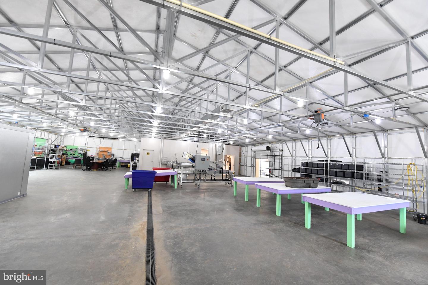 1070 WADESVILLE RD, BERRYVILLE, Virginia 22611, ,Farm,For Sale,1070 WADESVILLE RD,VACL2003758 MLS # VACL2003758