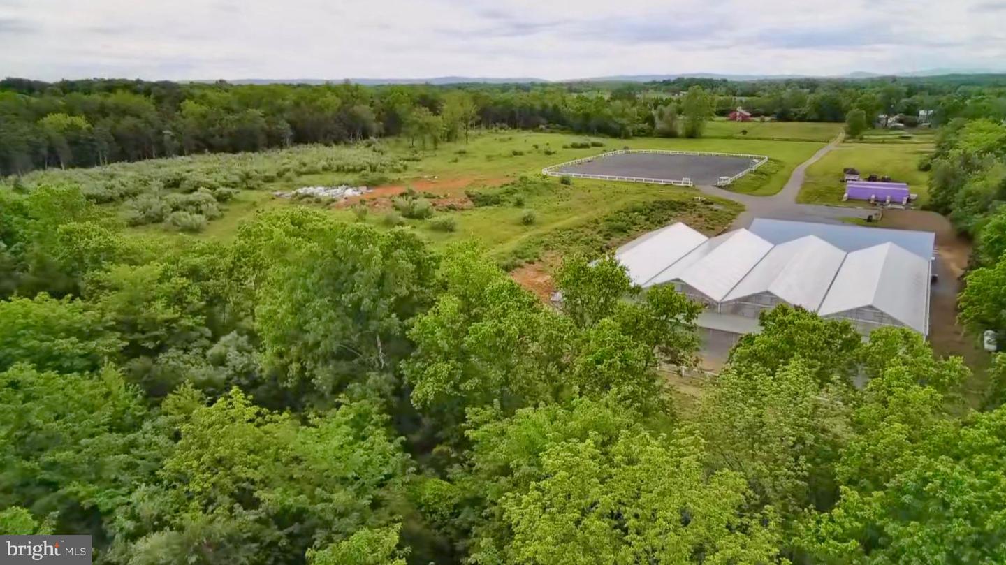 1070 WADESVILLE RD, BERRYVILLE, Virginia 22611, ,Farm,For Sale,1070 WADESVILLE RD,VACL2003758 MLS # VACL2003758