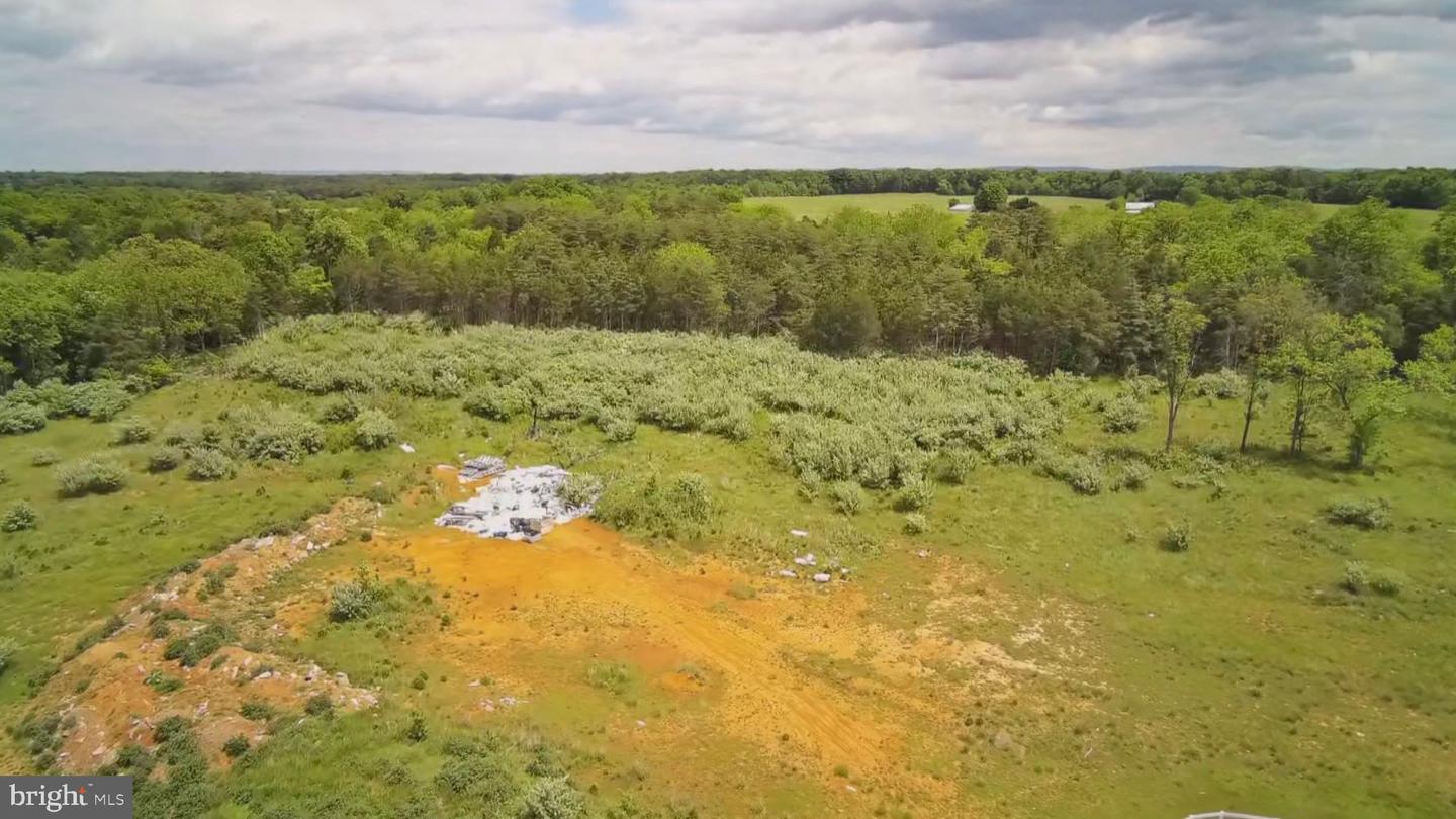 1070 WADESVILLE RD, BERRYVILLE, Virginia 22611, ,Farm,For Sale,1070 WADESVILLE RD,VACL2003758 MLS # VACL2003758