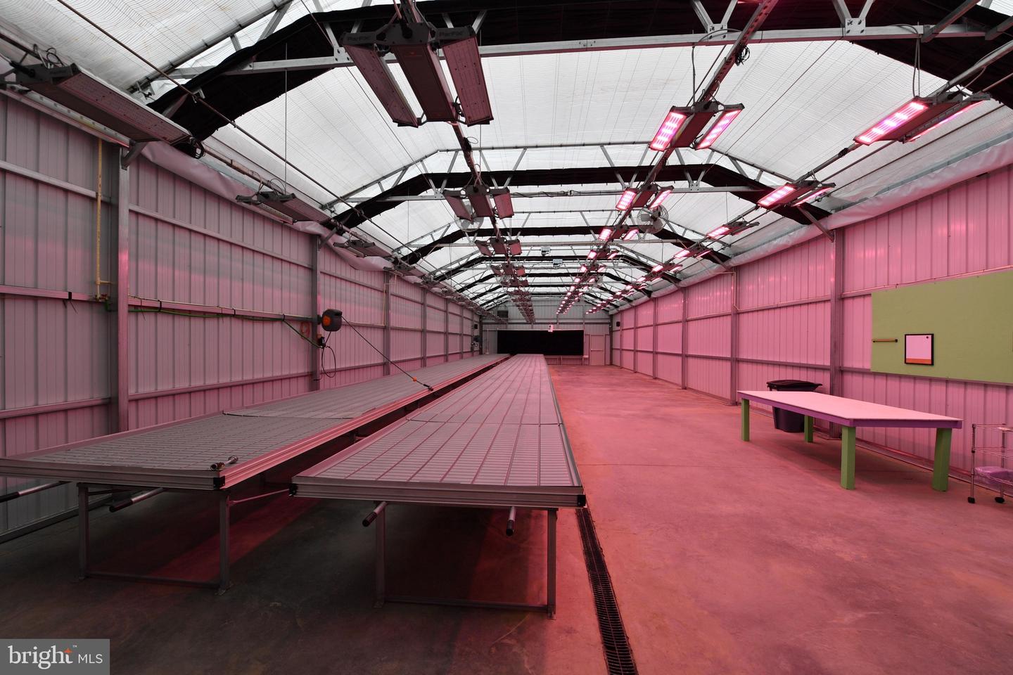 1070 WADESVILLE RD, BERRYVILLE, Virginia 22611, ,Farm,For Sale,1070 WADESVILLE RD,VACL2003758 MLS # VACL2003758