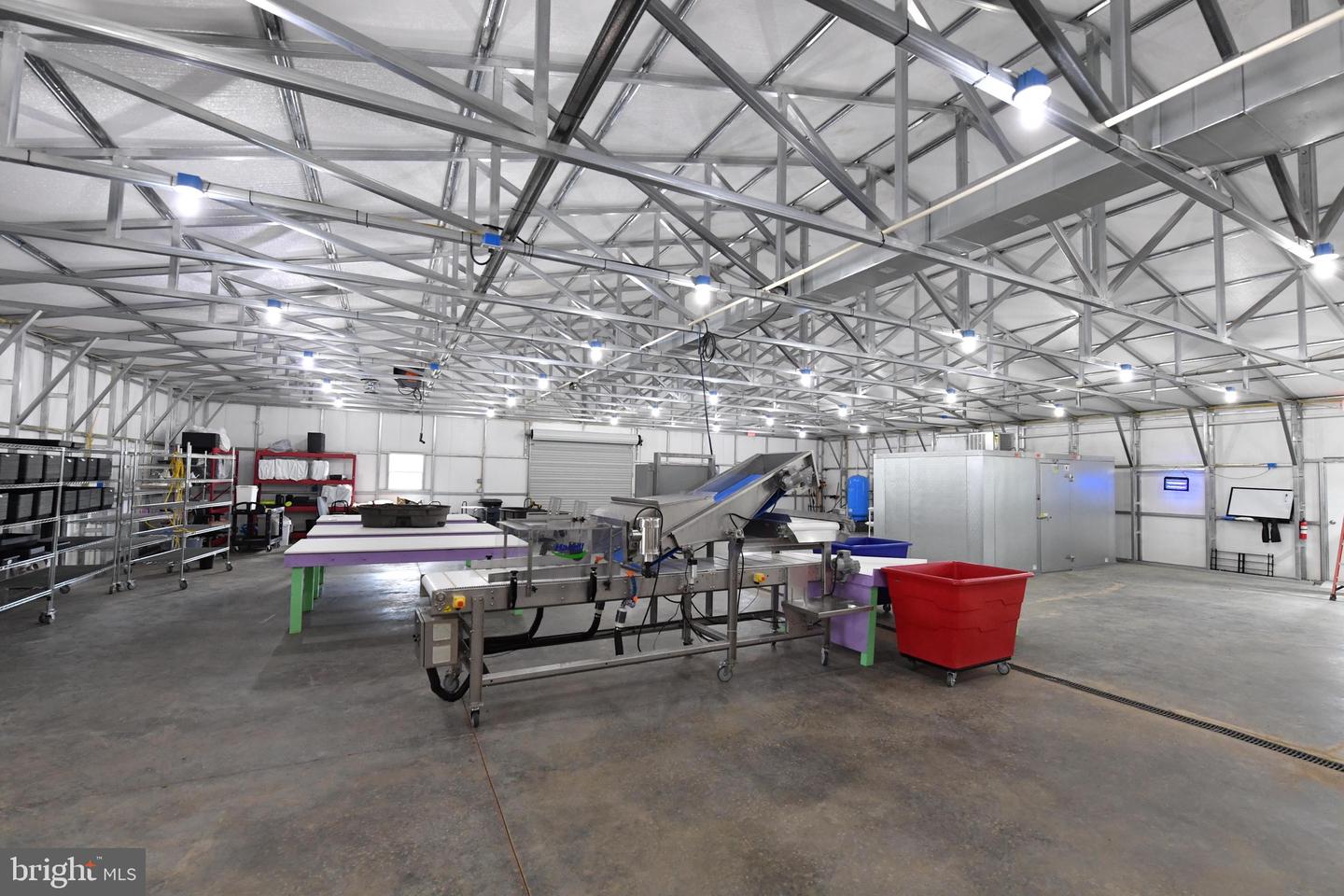 1070 WADESVILLE RD, BERRYVILLE, Virginia 22611, ,Farm,For Sale,1070 WADESVILLE RD,VACL2003758 MLS # VACL2003758