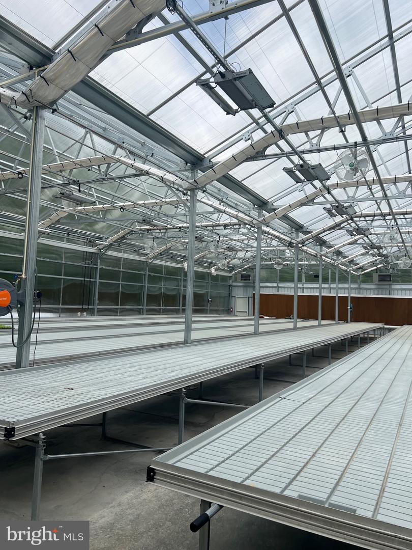 1070 WADESVILLE RD, BERRYVILLE, Virginia 22611, ,Farm,For Sale,1070 WADESVILLE RD,VACL2003758 MLS # VACL2003758