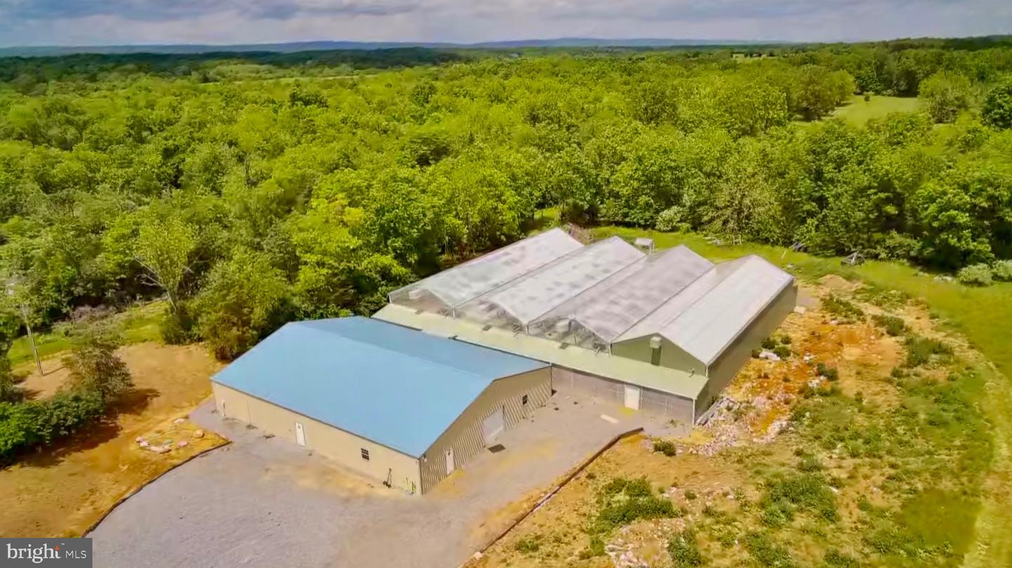 1070 WADESVILLE RD, BERRYVILLE, Virginia 22611, ,Farm,For Sale,1070 WADESVILLE RD,VACL2003758 MLS # VACL2003758