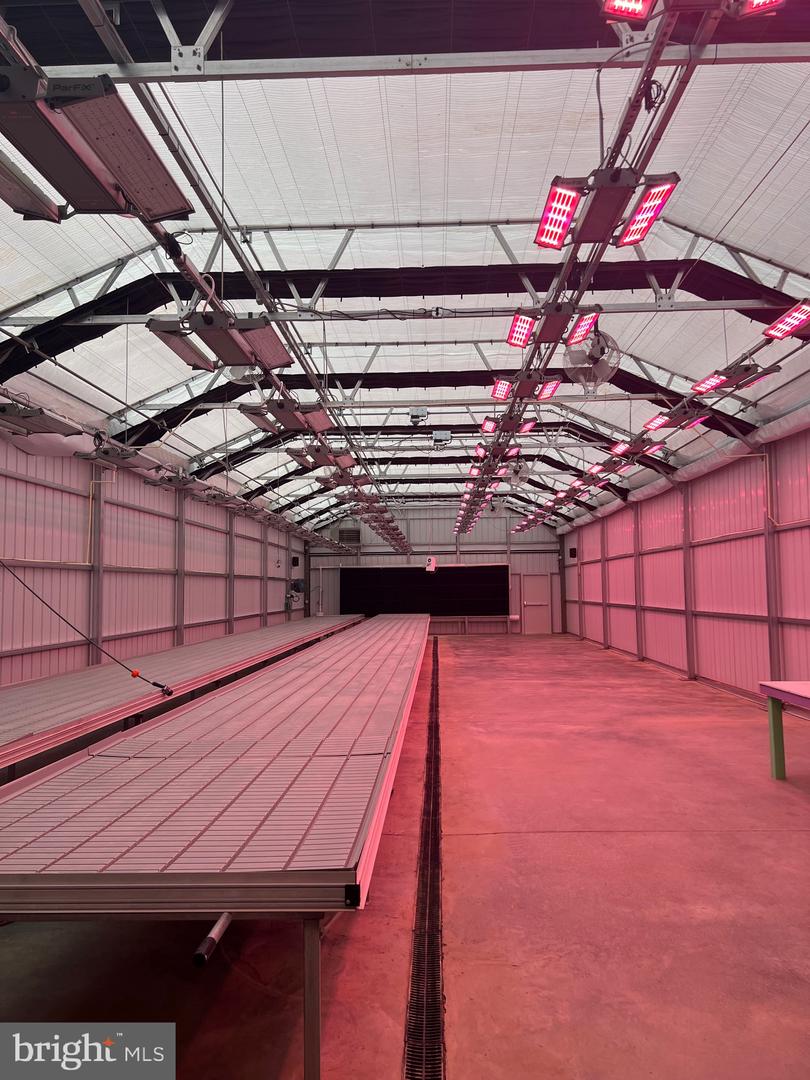 1070 WADESVILLE RD, BERRYVILLE, Virginia 22611, ,Farm,For Sale,1070 WADESVILLE RD,VACL2003758 MLS # VACL2003758