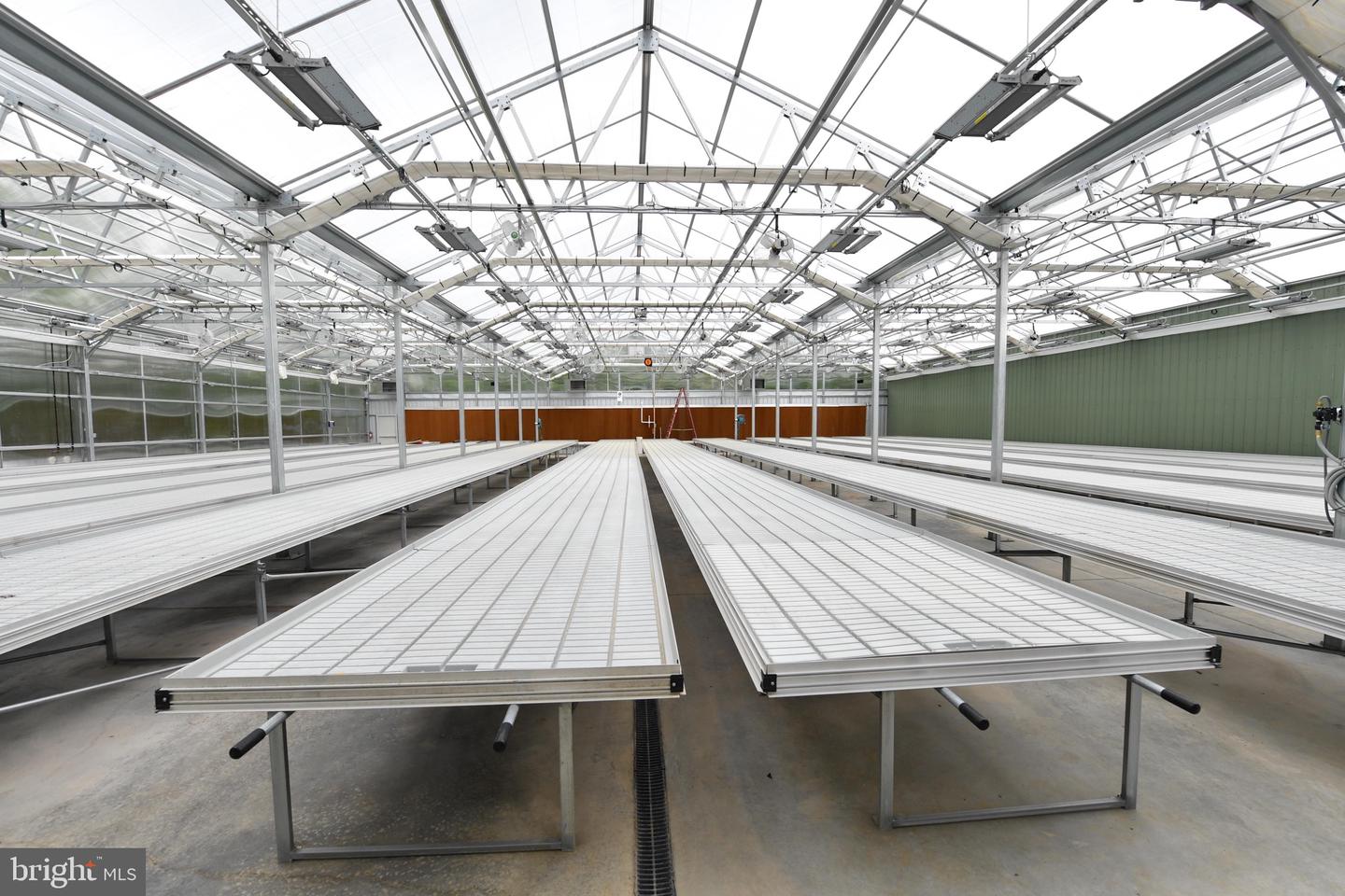 1070 WADESVILLE RD, BERRYVILLE, Virginia 22611, ,Farm,For Sale,1070 WADESVILLE RD,VACL2003758 MLS # VACL2003758