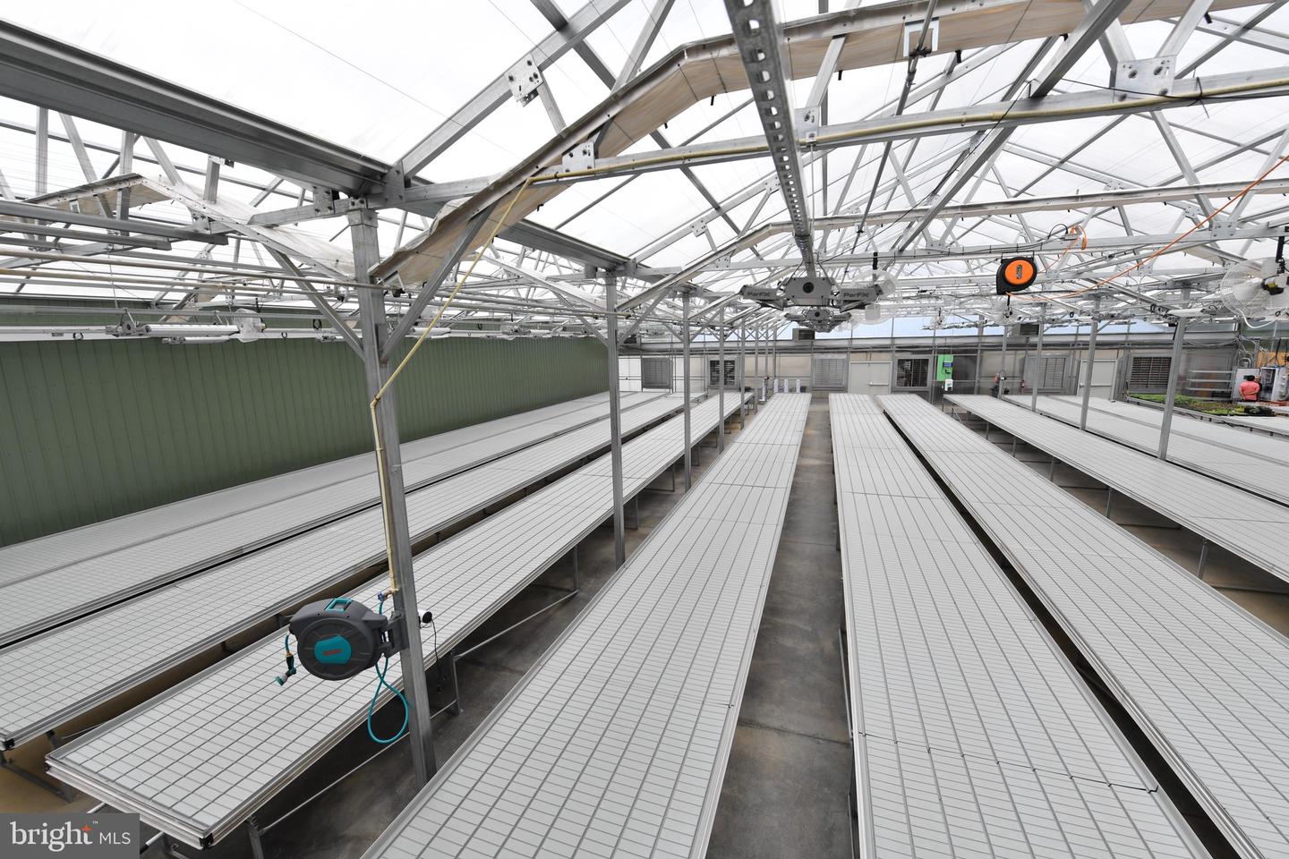 1070 WADESVILLE RD, BERRYVILLE, Virginia 22611, ,Farm,For Sale,1070 WADESVILLE RD,VACL2003758 MLS # VACL2003758