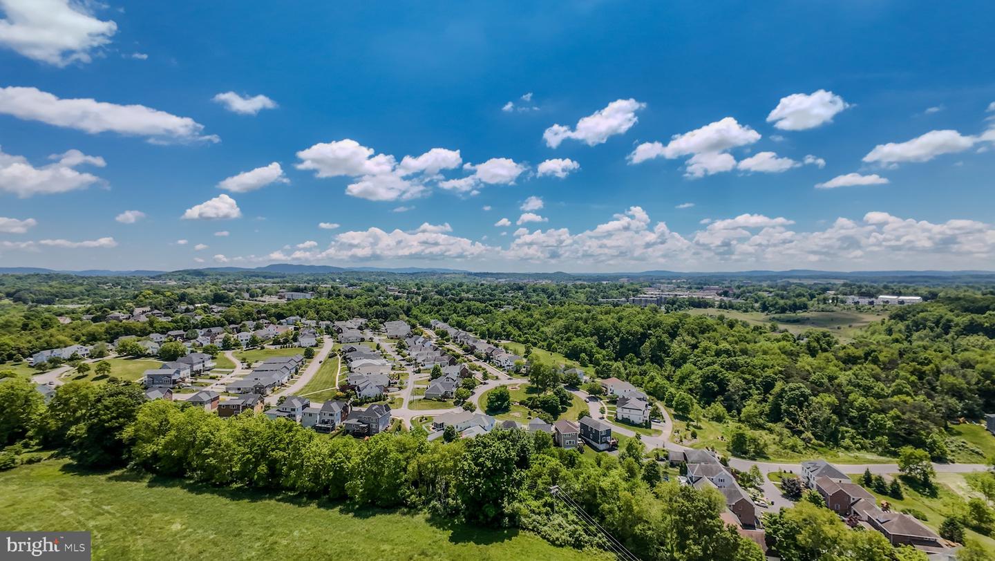 1801 TOMS CREEK RD, BLACKSBURG, Virginia 24060, ,Farm,For Sale,1801 TOMS CREEK RD,VAMV2000046 MLS # VAMV2000046