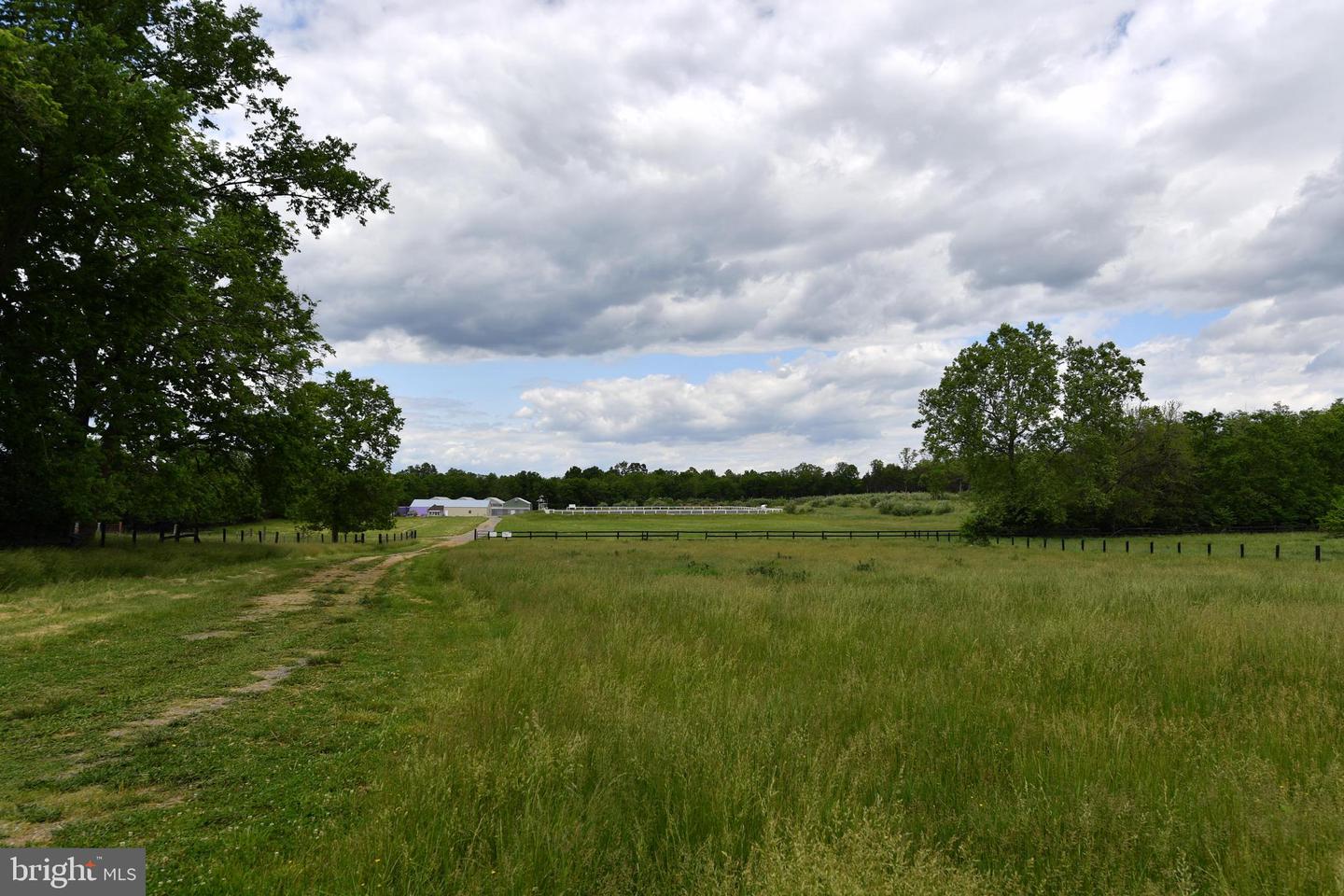 1070 WADESVILLE RD, BERRYVILLE, Virginia 22611, ,Farm,For Sale,1070 WADESVILLE RD,VACL2005912 MLS # VACL2005912