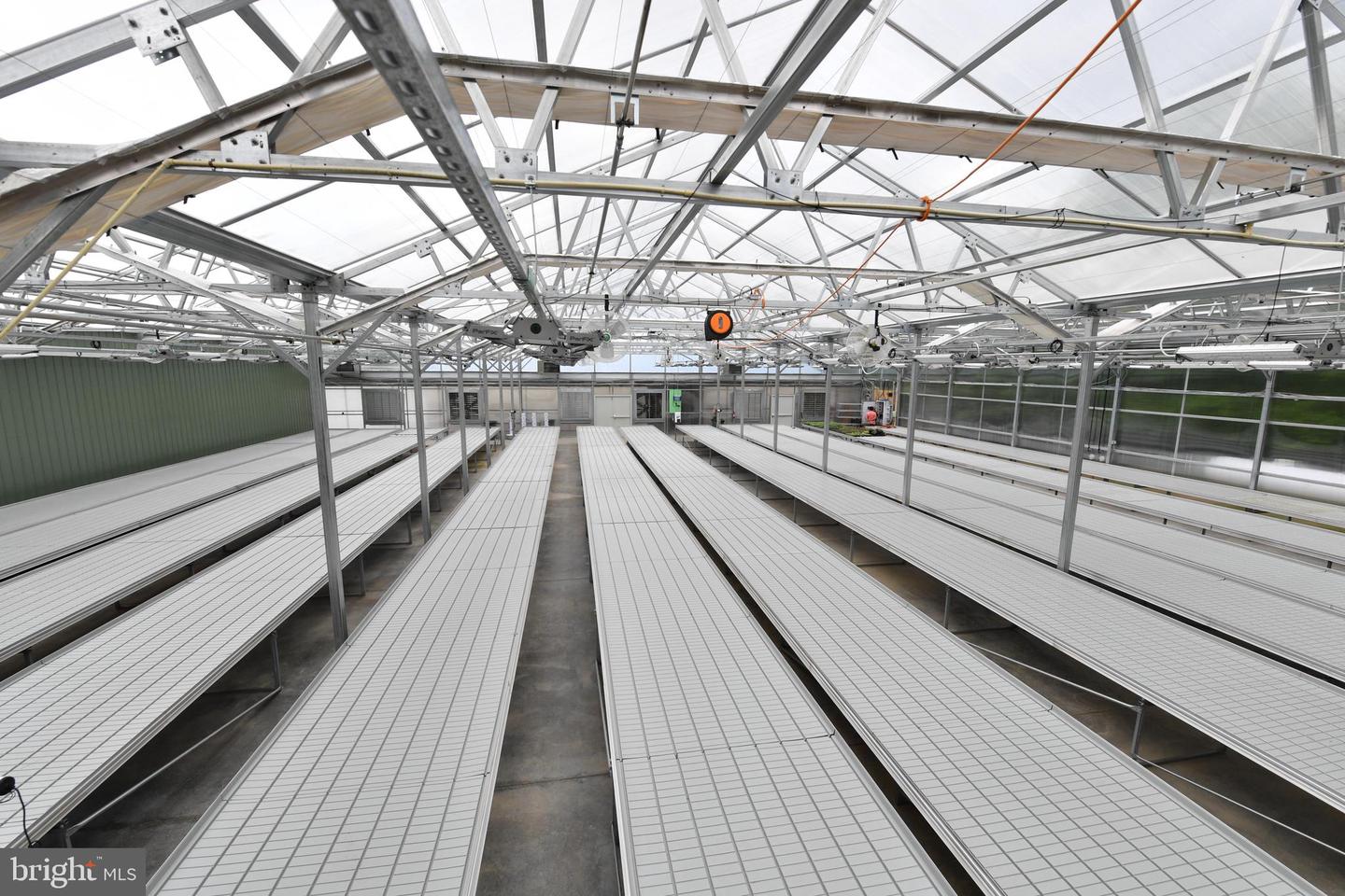 1070 WADESVILLE RD, BERRYVILLE, Virginia 22611, ,Farm,For Sale,1070 WADESVILLE RD,VACL2005912 MLS # VACL2005912