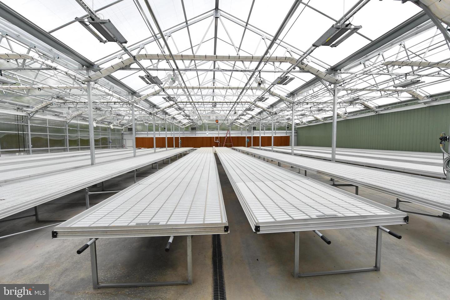 1070 WADESVILLE RD, BERRYVILLE, Virginia 22611, ,Farm,For Sale,1070 WADESVILLE RD,VACL2005912 MLS # VACL2005912