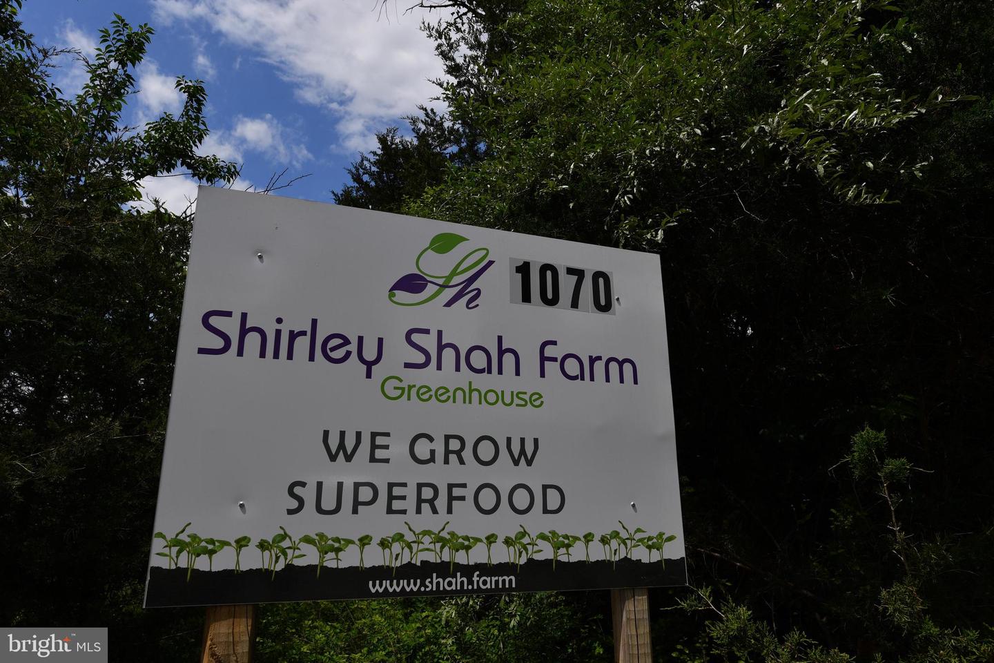 1070 WADESVILLE RD, BERRYVILLE, Virginia 22611, ,Farm,For Sale,1070 WADESVILLE RD,VACL2005912 MLS # VACL2005912