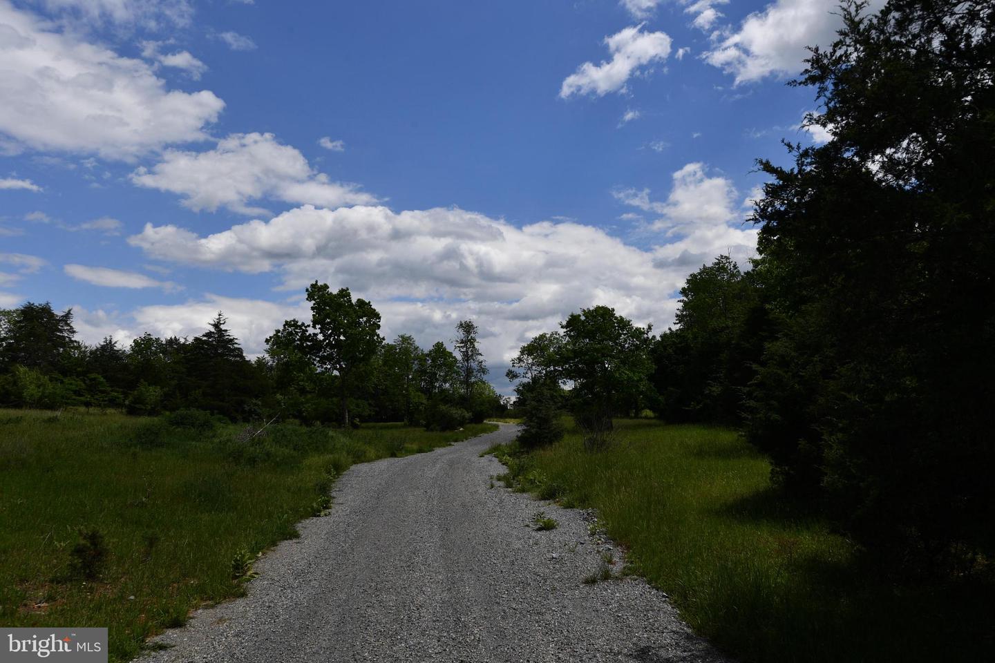 1070 WADESVILLE RD, BERRYVILLE, Virginia 22611, ,Farm,For Sale,1070 WADESVILLE RD,VACL2005912 MLS # VACL2005912