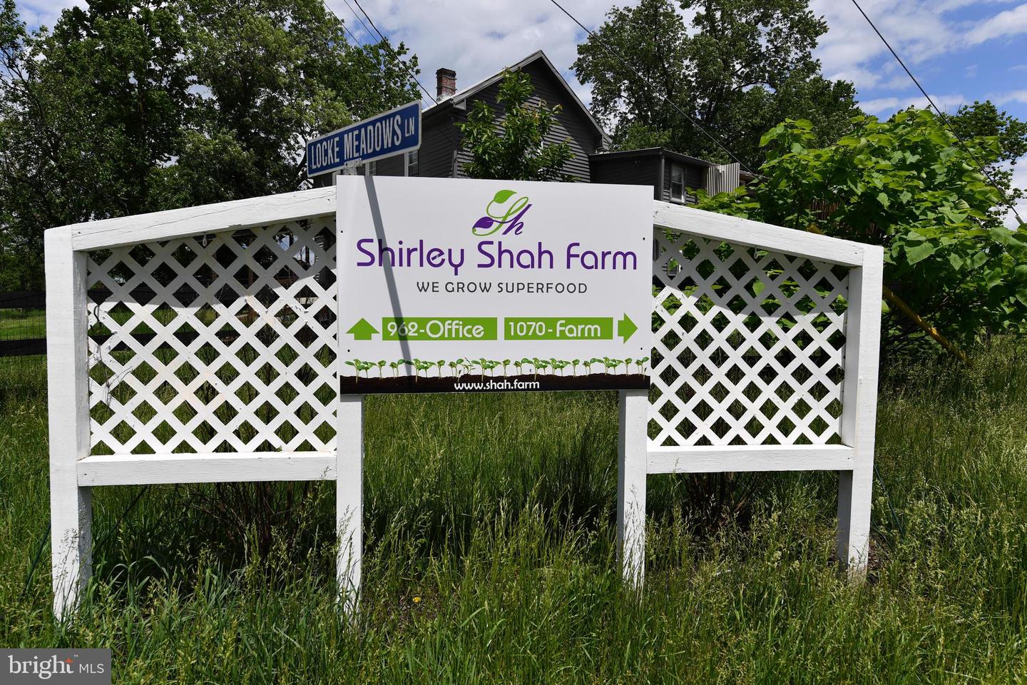1070 WADESVILLE RD, BERRYVILLE, Virginia 22611, ,Farm,For Sale,1070 WADESVILLE RD,VACL2005912 MLS # VACL2005912