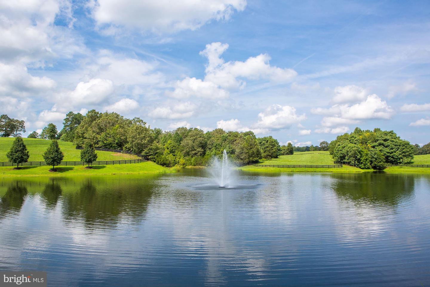 6887 BLENHEIM ROAD, SCOTTSVILLE, Virginia 24590, ,Farm,For Sale,6887 BLENHEIM ROAD,VAAB2001062 MLS # VAAB2001062