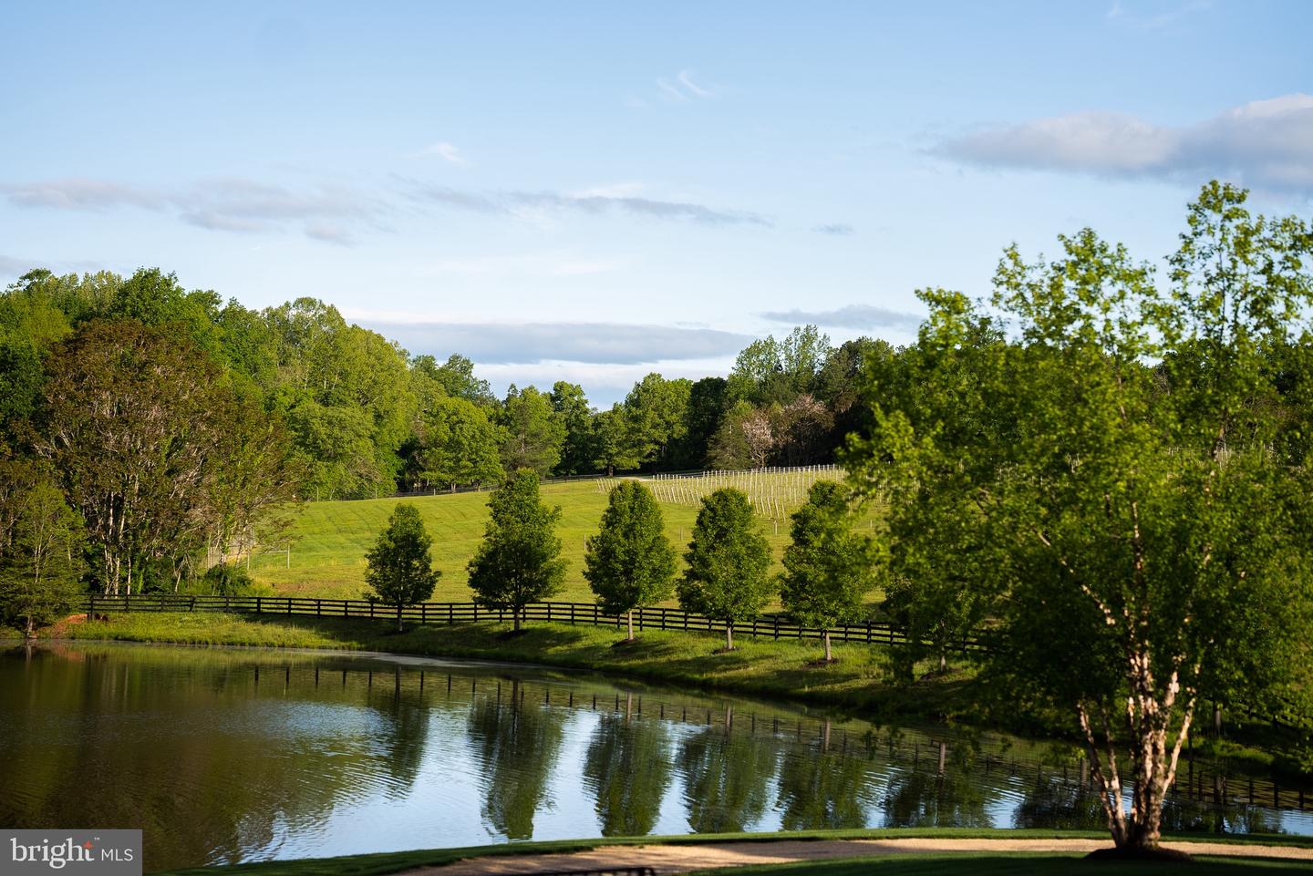 6887 BLENHEIM ROAD, SCOTTSVILLE, Virginia 24590, ,Residential,For Sale,6887 BLENHEIM ROAD,VAAB2001060 MLS # VAAB2001060