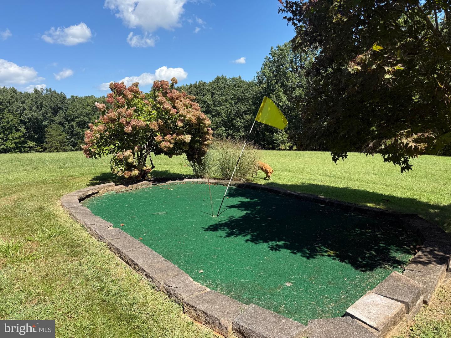 2082 LITTLE DOGWOOD ROAD, SPOUT SPRING, Virginia 24593, 2 Bedrooms Bedrooms, ,2 BathroomsBathrooms,Farm,For Sale,2082 LITTLE DOGWOOD ROAD,VAAV2000034 MLS # VAAV2000034