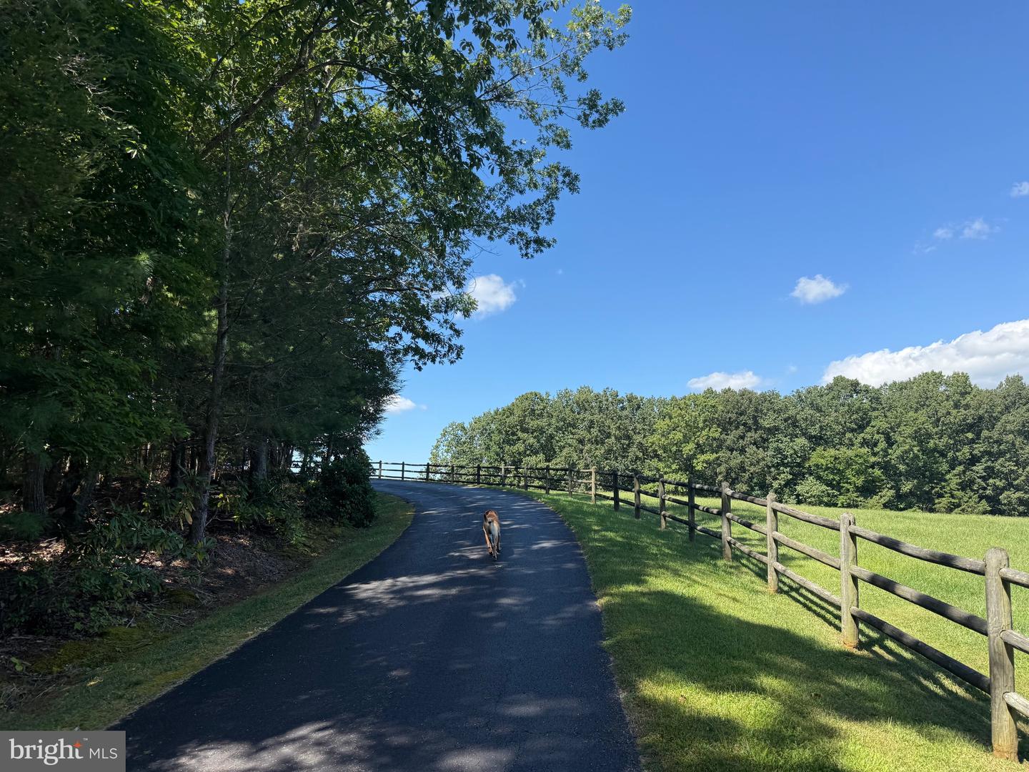 2082 LITTLE DOGWOOD ROAD, SPOUT SPRING, Virginia 24593, 2 Bedrooms Bedrooms, ,2 BathroomsBathrooms,Farm,For Sale,2082 LITTLE DOGWOOD ROAD,VAAV2000034 MLS # VAAV2000034