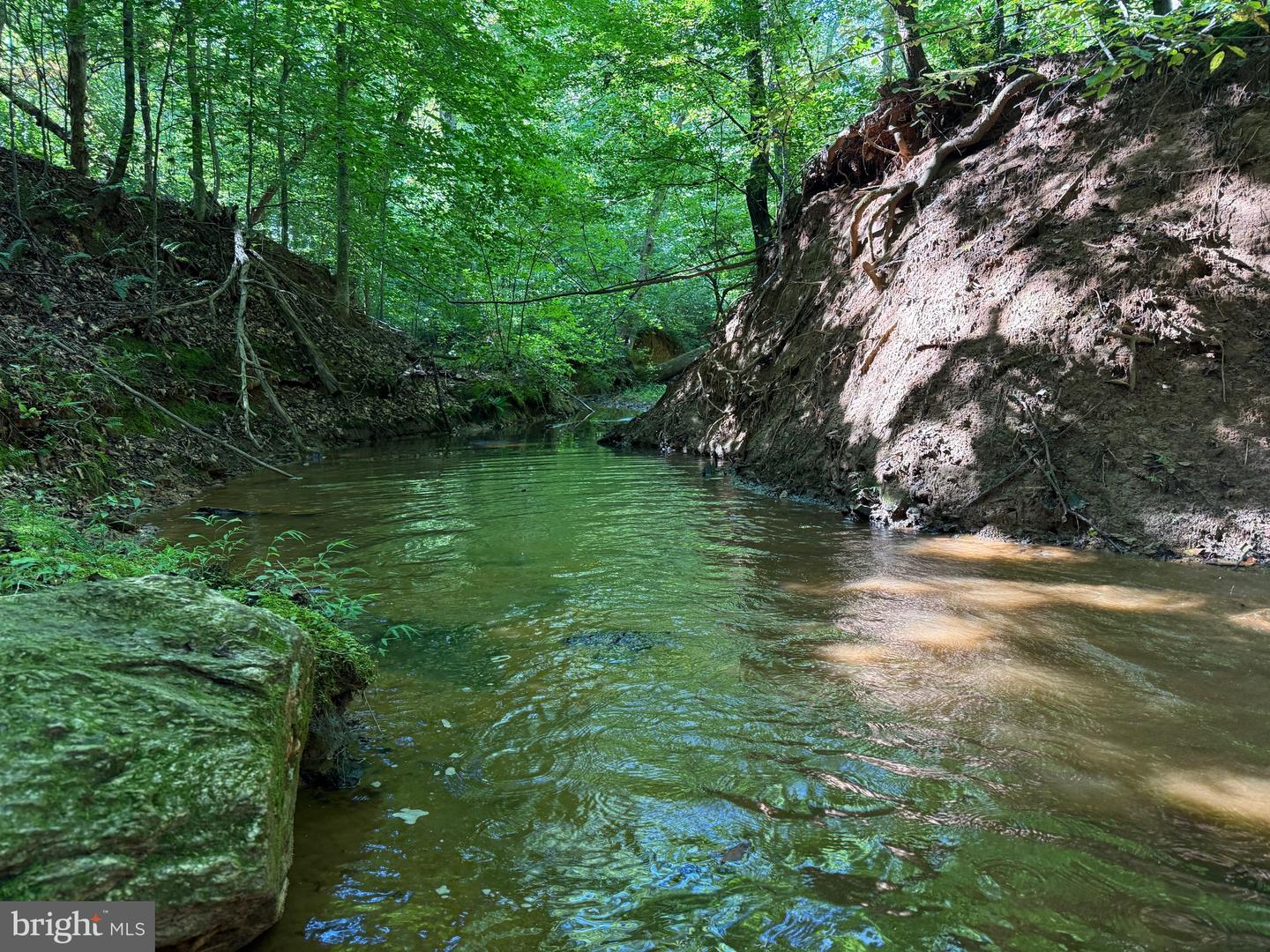 2082 LITTLE DOGWOOD ROAD, SPOUT SPRING, Virginia 24593, 2 Bedrooms Bedrooms, ,2 BathroomsBathrooms,Farm,For Sale,2082 LITTLE DOGWOOD ROAD,VAAV2000034 MLS # VAAV2000034