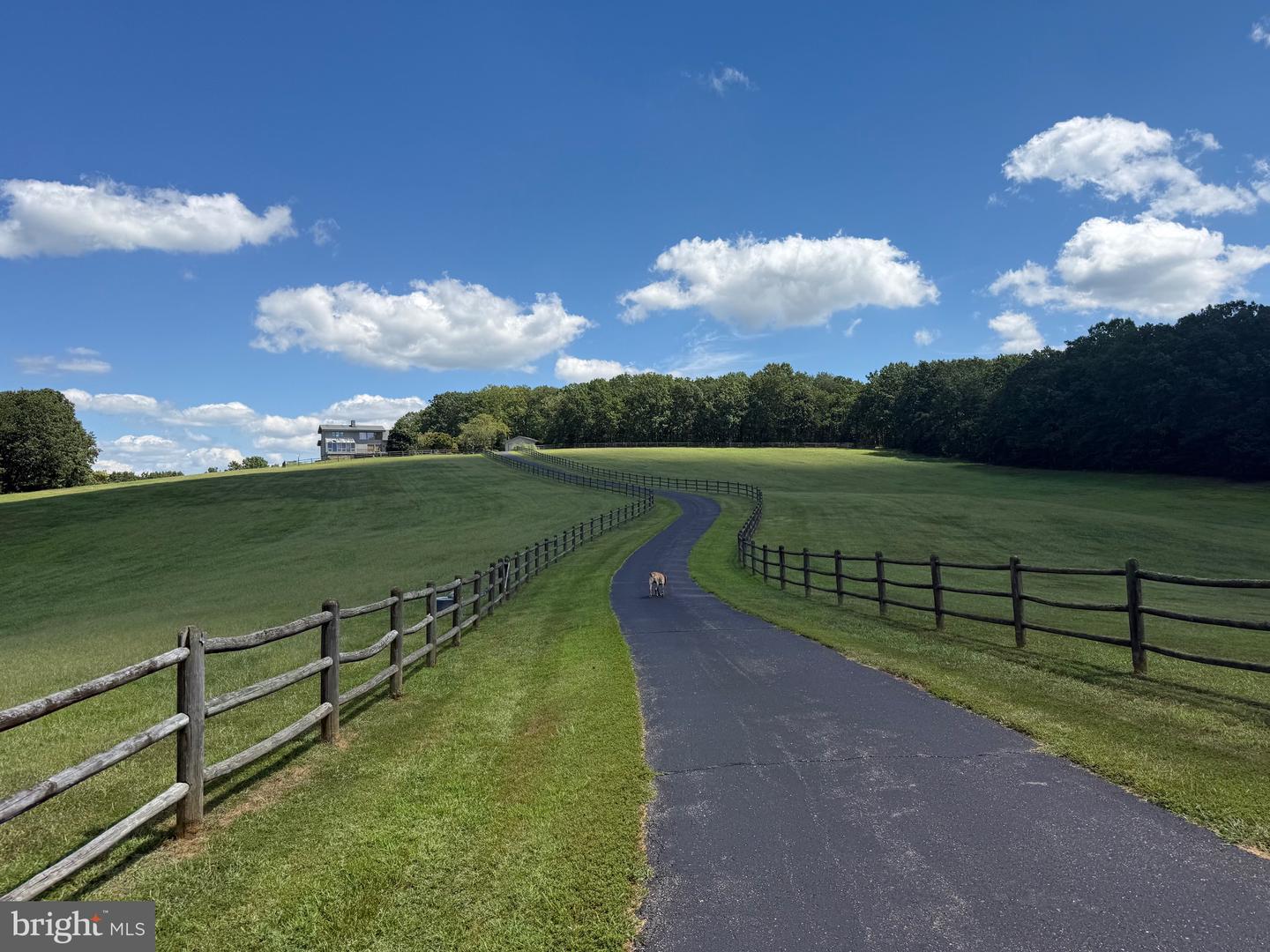 2082 LITTLE DOGWOOD ROAD, SPOUT SPRING, Virginia 24593, 2 Bedrooms Bedrooms, ,2 BathroomsBathrooms,Farm,For Sale,2082 LITTLE DOGWOOD ROAD,VAAV2000034 MLS # VAAV2000034