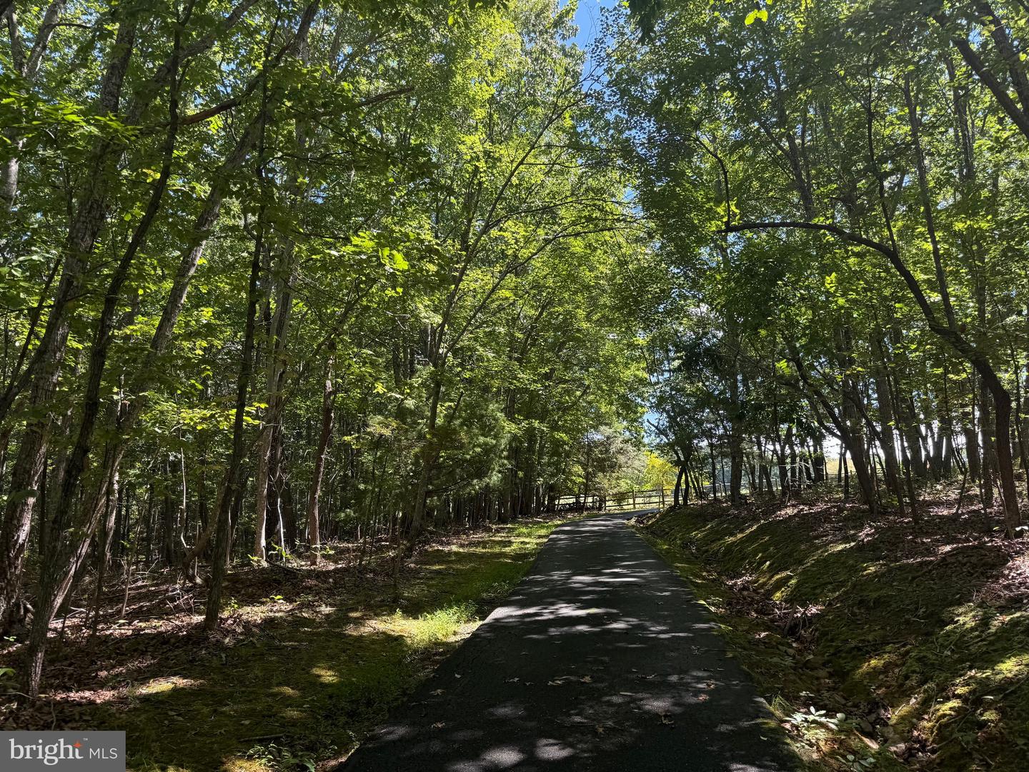 2082 LITTLE DOGWOOD ROAD, SPOUT SPRING, Virginia 24593, 2 Bedrooms Bedrooms, ,2 BathroomsBathrooms,Farm,For Sale,2082 LITTLE DOGWOOD ROAD,VAAV2000034 MLS # VAAV2000034