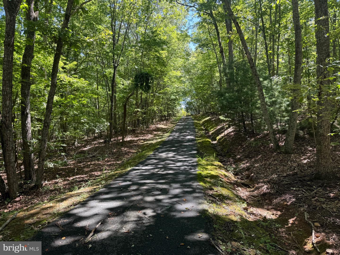 2082 LITTLE DOGWOOD ROAD, SPOUT SPRING, Virginia 24593, 2 Bedrooms Bedrooms, ,2 BathroomsBathrooms,Farm,For Sale,2082 LITTLE DOGWOOD ROAD,VAAV2000034 MLS # VAAV2000034