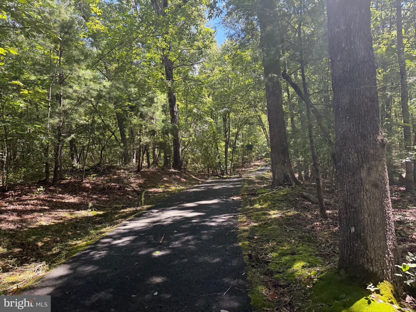 2082 LITTLE DOGWOOD ROAD, SPOUT SPRING, Virginia 24593, 2 Bedrooms Bedrooms, ,2 BathroomsBathrooms,Farm,For Sale,2082 LITTLE DOGWOOD ROAD,VAAV2000034 MLS # VAAV2000034