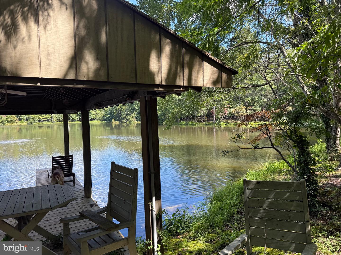 2082 LITTLE DOGWOOD ROAD, SPOUT SPRING, Virginia 24593, 2 Bedrooms Bedrooms, ,2 BathroomsBathrooms,Farm,For Sale,2082 LITTLE DOGWOOD ROAD,VAAV2000034 MLS # VAAV2000034