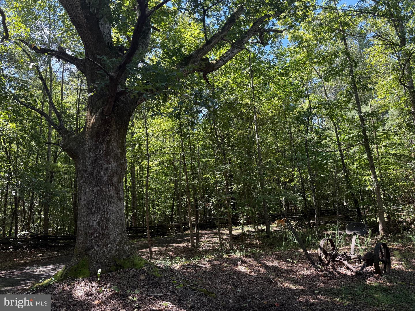 2082 LITTLE DOGWOOD ROAD, SPOUT SPRING, Virginia 24593, 2 Bedrooms Bedrooms, ,2 BathroomsBathrooms,Farm,For Sale,2082 LITTLE DOGWOOD ROAD,VAAV2000034 MLS # VAAV2000034