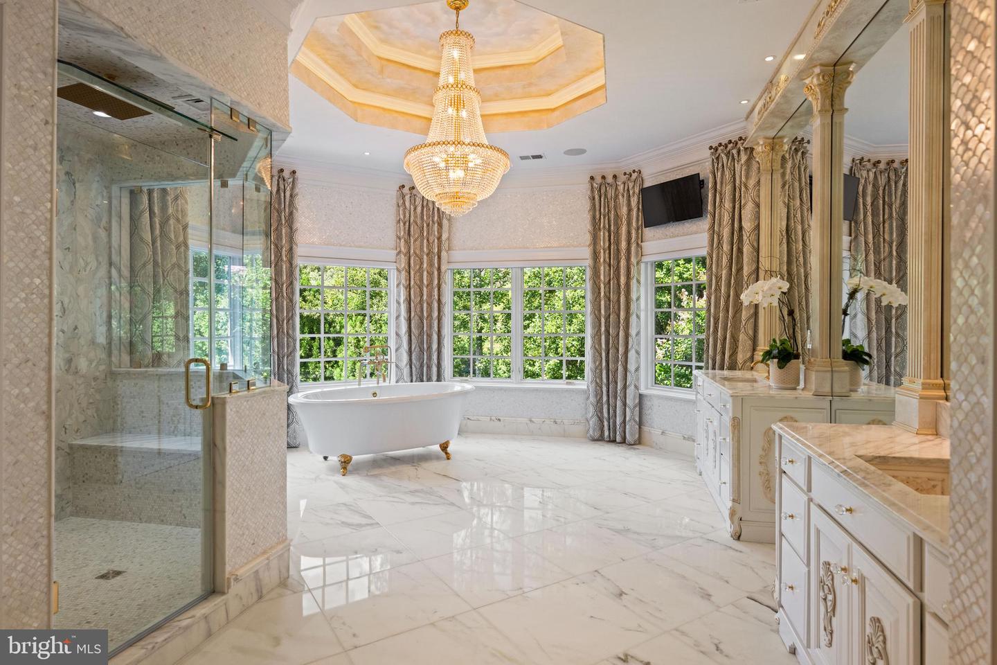 9112/9120 MINE RUN DR, GREAT FALLS, Virginia 22066, 6 Bedrooms Bedrooms, ,7 BathroomsBathrooms,Residential,For Sale,9112/9120 MINE RUN DR,VAFX2260256 MLS # VAFX2260256