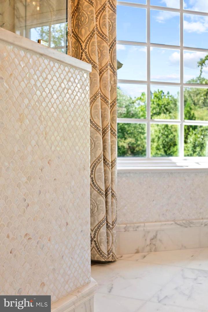 9112/9120 MINE RUN DR, GREAT FALLS, Virginia 22066, 6 Bedrooms Bedrooms, ,7 BathroomsBathrooms,Residential,For Sale,9112/9120 MINE RUN DR,VAFX2260256 MLS # VAFX2260256