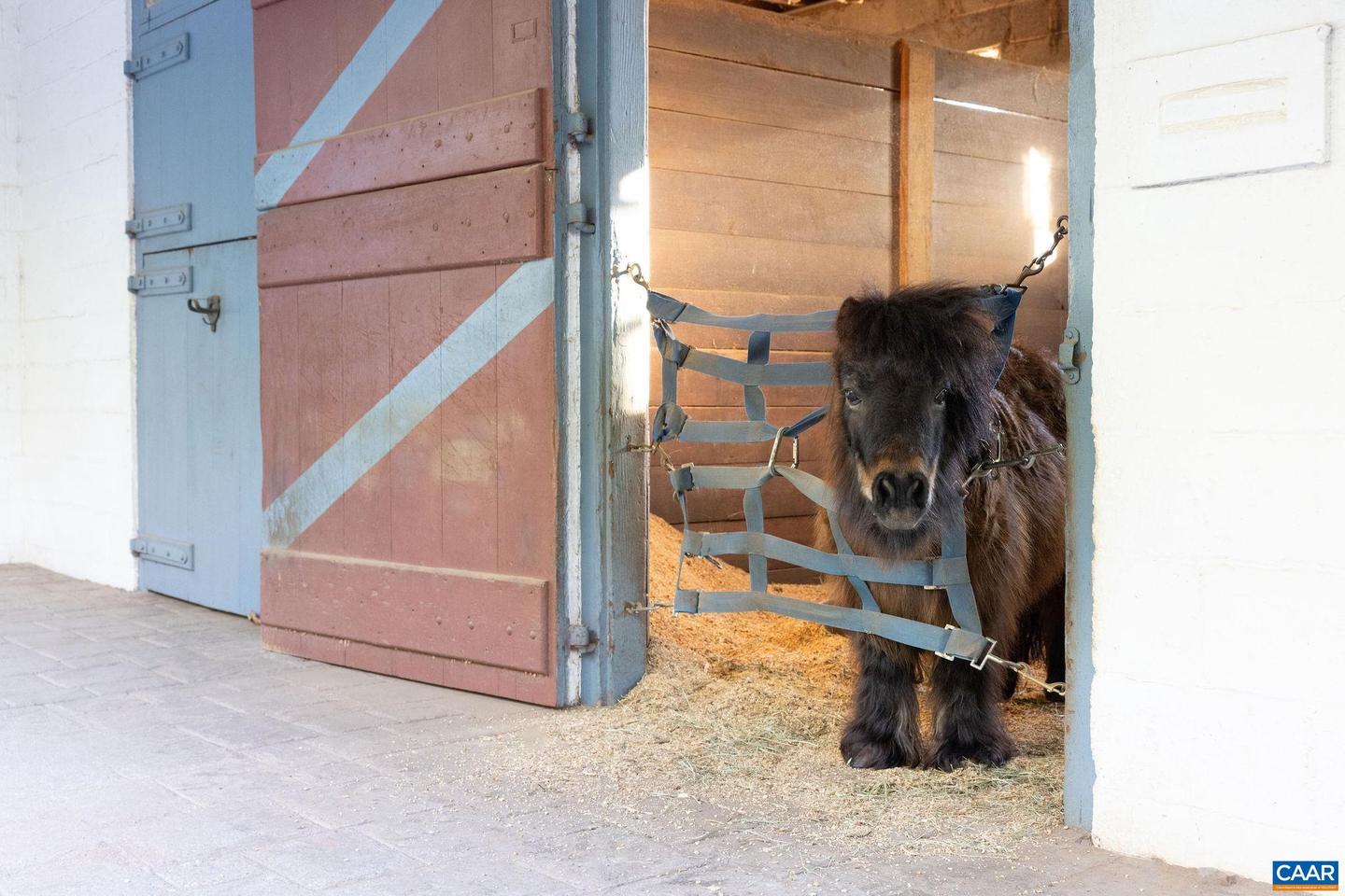 8199 SCOTTLAND FARM DR, ESMONT, Virginia 22937, 4 Bedrooms Bedrooms, ,3 BathroomsBathrooms,Residential,For Sale,8199 SCOTTLAND FARM DR,661974 MLS # 661974