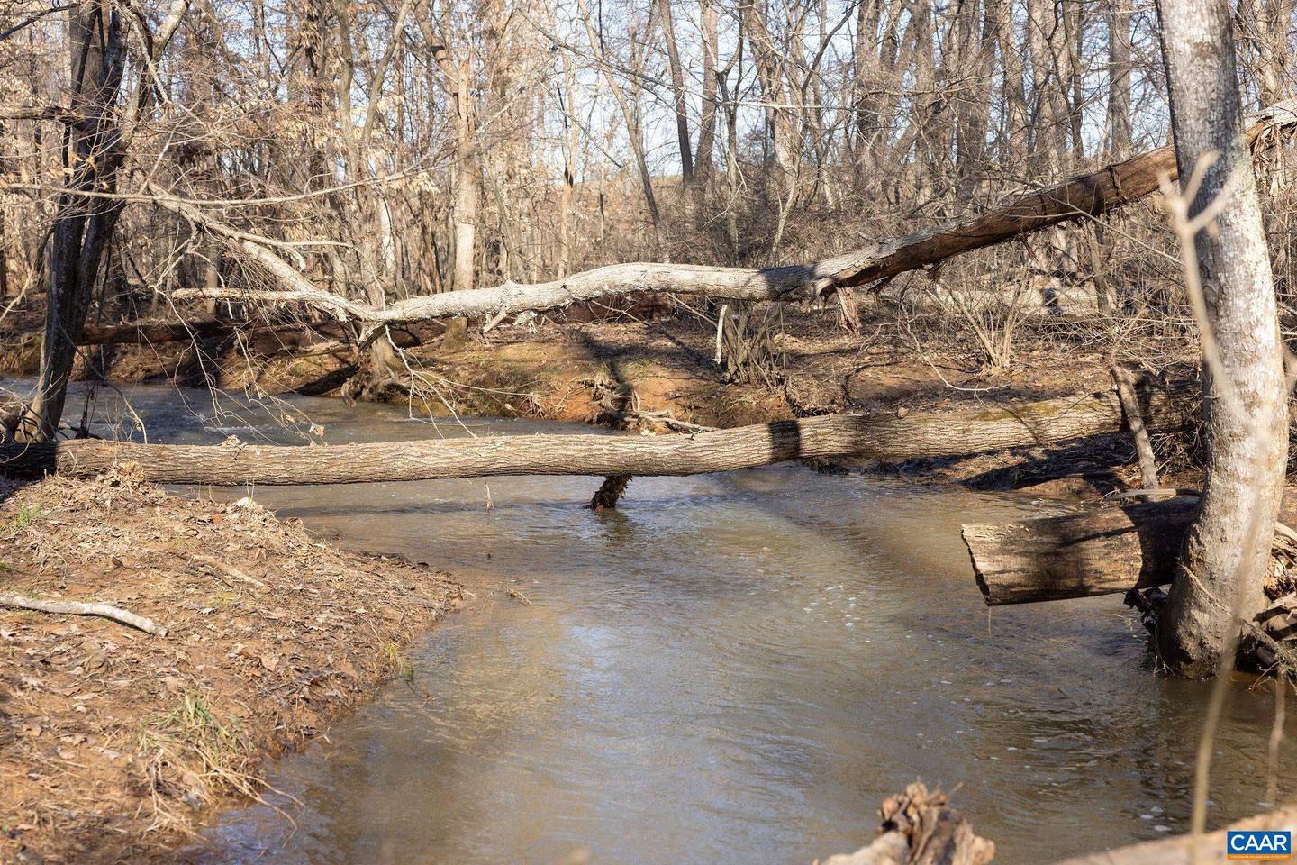 8199 SCOTTLAND FARM DR, ESMONT, Virginia 22937, 4 Bedrooms Bedrooms, ,3 BathroomsBathrooms,Residential,For Sale,8199 SCOTTLAND FARM DR,661974 MLS # 661974