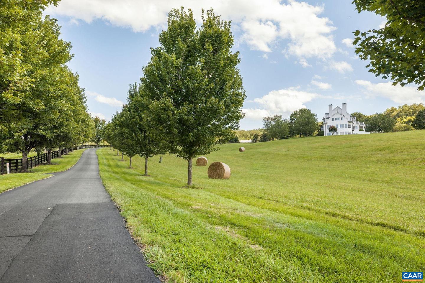 3365 STONY POINT RD, CHARLOTTESVILLE, Virginia 22911, 6 Bedrooms Bedrooms, ,7 BathroomsBathrooms,Residential,For Sale,3365 STONY POINT RD,668818 MLS # 668818