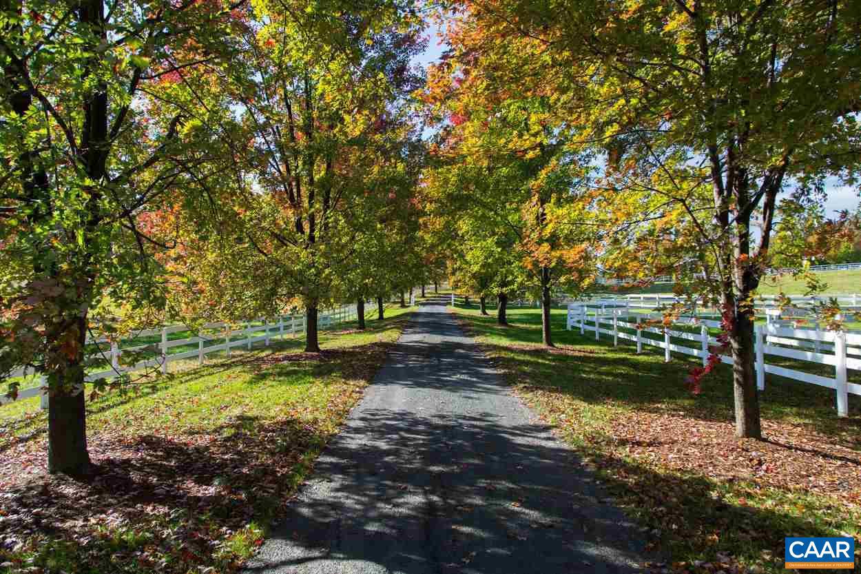 1097 SAINT JOHN RD, KESWICK, Virginia 22947, 6 Bedrooms Bedrooms, ,6 BathroomsBathrooms,Residential,For Sale,1097 SAINT JOHN RD,669001 MLS # 669001