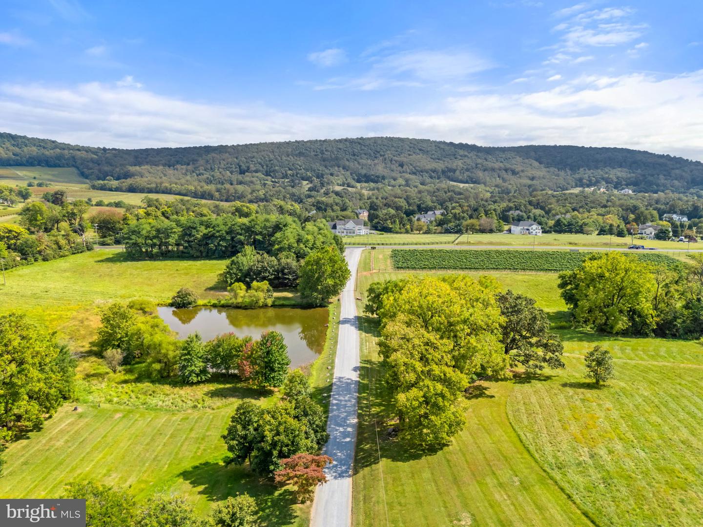 14001 HARPERS FERRY RD, HILLSBORO, Virginia 20132, ,Farm,For Sale,14001 HARPERS FERRY RD,VALO2107320 MLS # VALO2107320