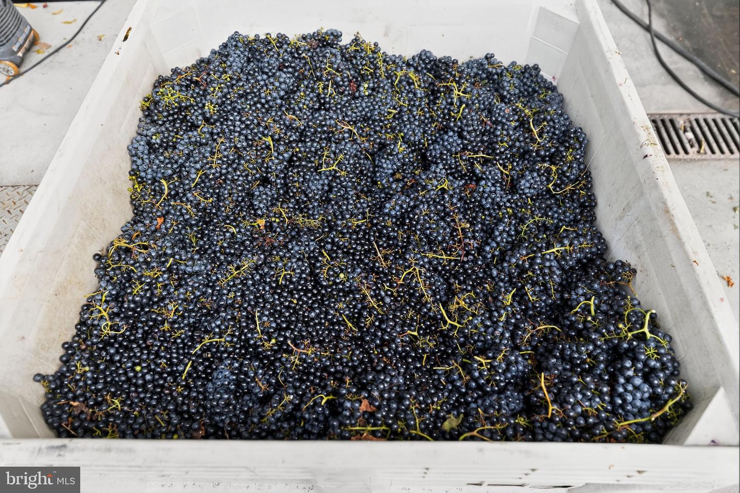 14001 HARPERS FERRY RD, HILLSBORO, Virginia 20132, ,Farm,For Sale,14001 HARPERS FERRY RD,VALO2107320 MLS # VALO2107320