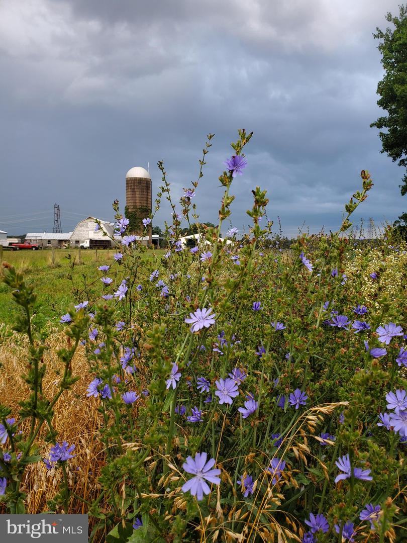 5474 WOODSIDE LN, BEALETON, Virginia 22712, 3 Bedrooms Bedrooms, ,2 BathroomsBathrooms,Farm,For Sale,5474 WOODSIDE LN,VAFQ2018414 MLS # VAFQ2018414