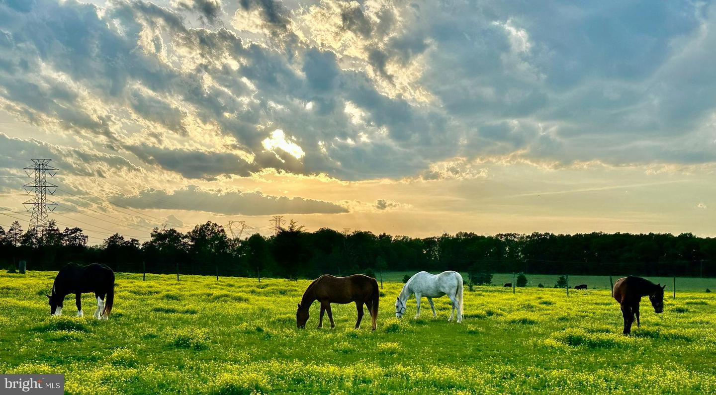 5474 WOODSIDE LN, BEALETON, Virginia 22712, 3 Bedrooms Bedrooms, ,2 BathroomsBathrooms,Farm,For Sale,5474 WOODSIDE LN,VAFQ2018414 MLS # VAFQ2018414