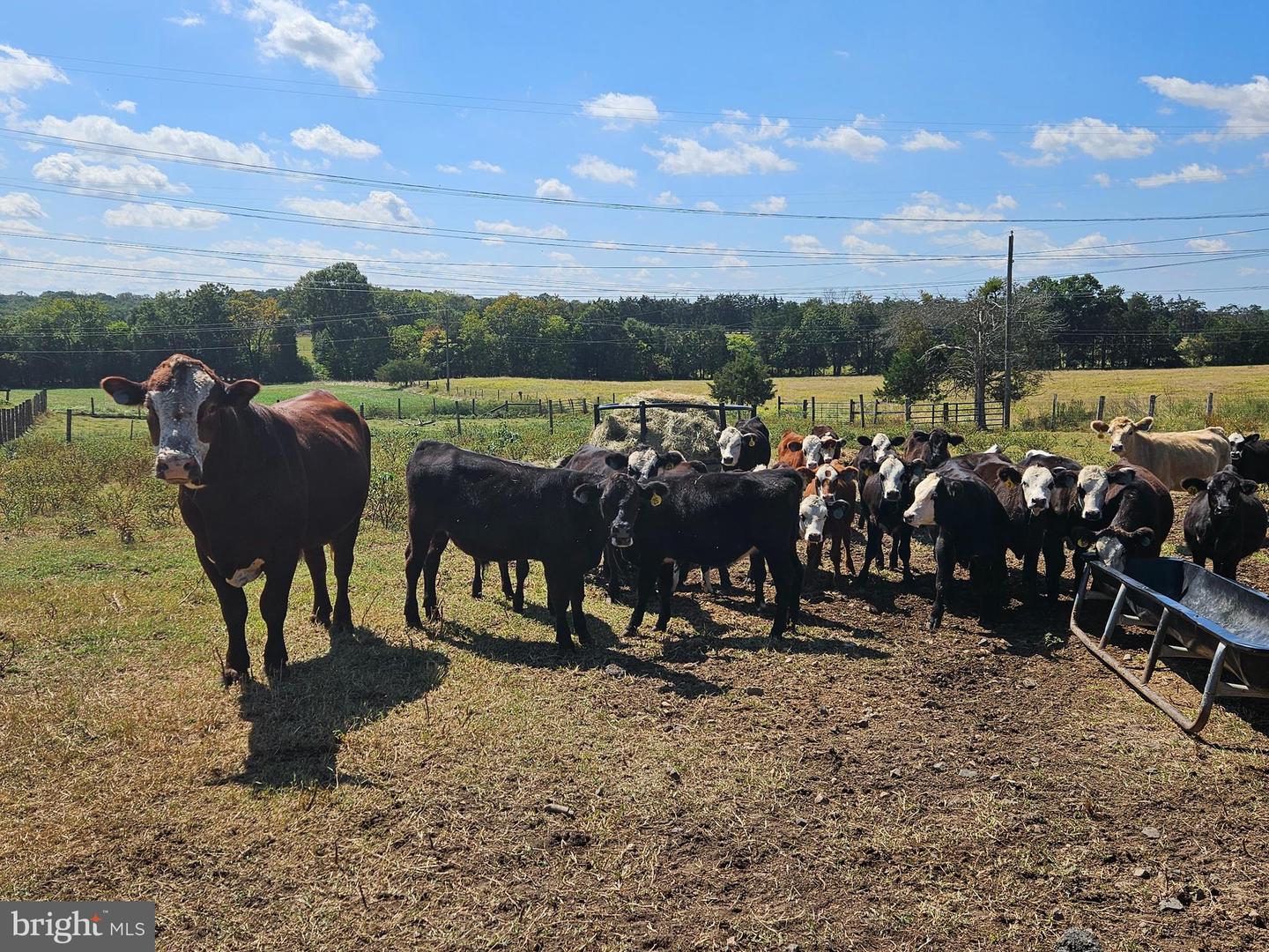 5474 WOODSIDE LN, BEALETON, Virginia 22712, 3 Bedrooms Bedrooms, ,2 BathroomsBathrooms,Farm,For Sale,5474 WOODSIDE LN,VAFQ2018414 MLS # VAFQ2018414