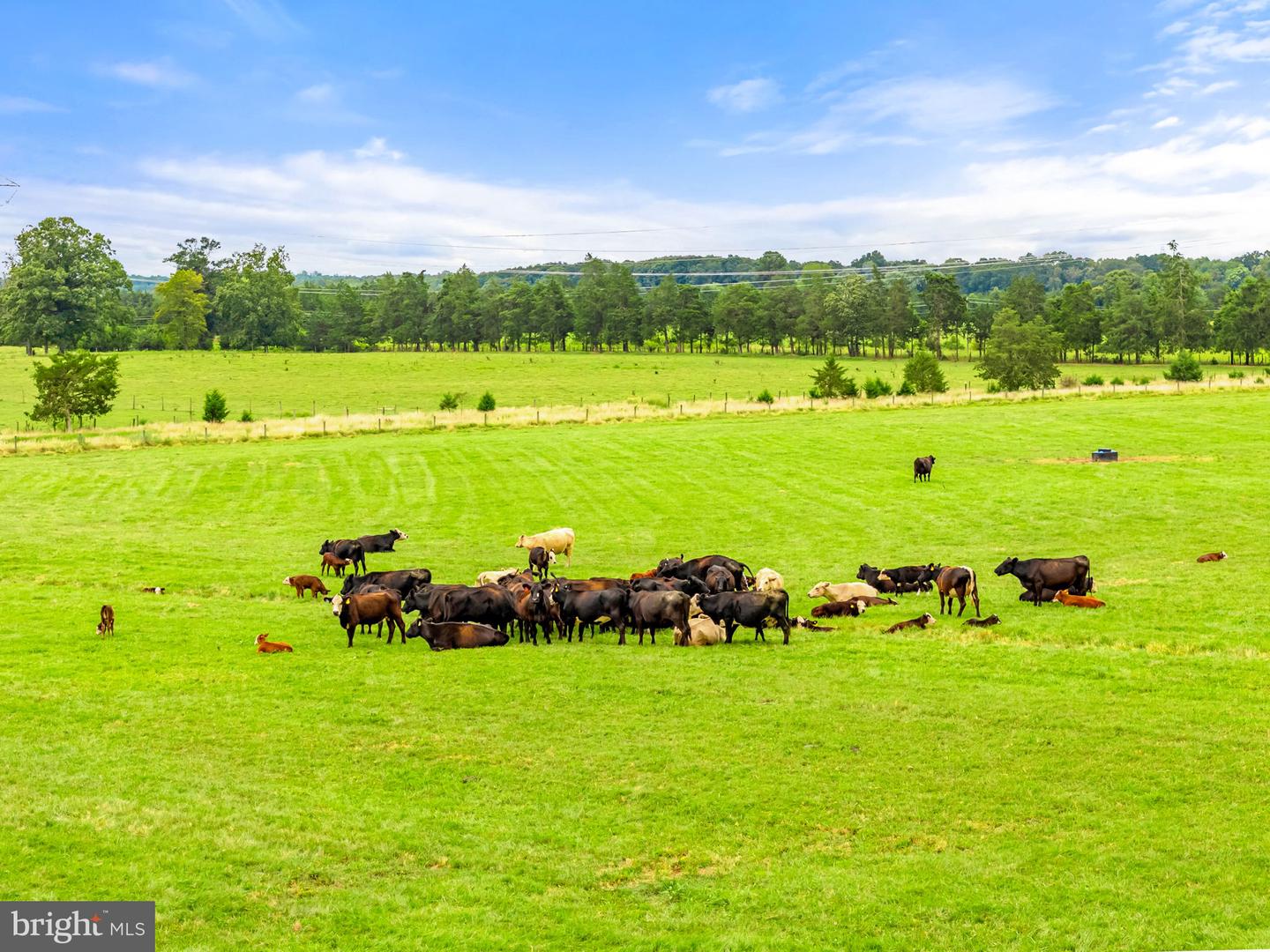 5474 WOODSIDE LN, BEALETON, Virginia 22712, 3 Bedrooms Bedrooms, ,2 BathroomsBathrooms,Farm,For Sale,5474 WOODSIDE LN,VAFQ2018414 MLS # VAFQ2018414