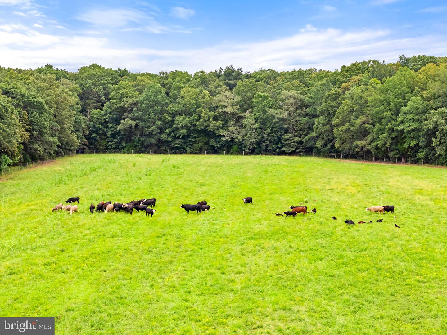 5474 WOODSIDE LN, BEALETON, Virginia 22712, 3 Bedrooms Bedrooms, ,2 BathroomsBathrooms,Farm,For Sale,5474 WOODSIDE LN,VAFQ2018414 MLS # VAFQ2018414