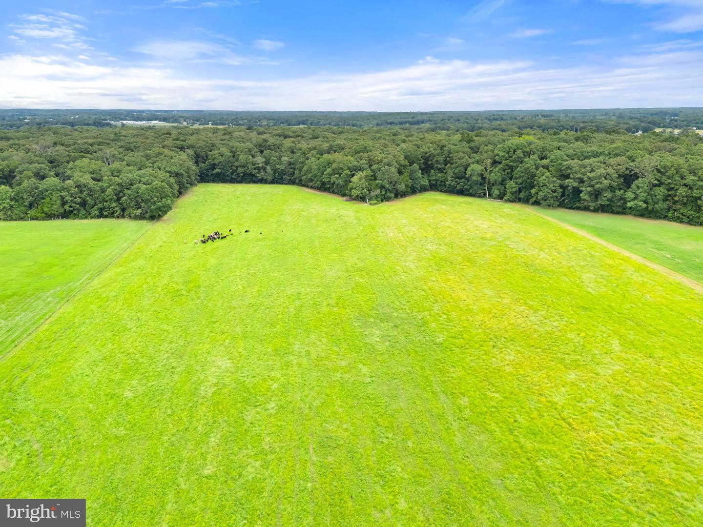 5474 WOODSIDE LN, BEALETON, Virginia 22712, 3 Bedrooms Bedrooms, ,2 BathroomsBathrooms,Farm,For Sale,5474 WOODSIDE LN,VAFQ2018414 MLS # VAFQ2018414