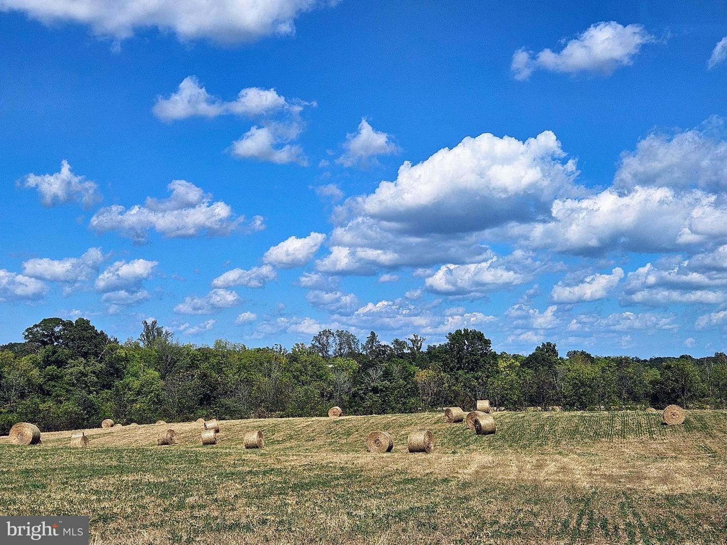 5474 WOODSIDE LN, BEALETON, Virginia 22712, 3 Bedrooms Bedrooms, ,2 BathroomsBathrooms,Farm,For Sale,5474 WOODSIDE LN,VAFQ2018414 MLS # VAFQ2018414