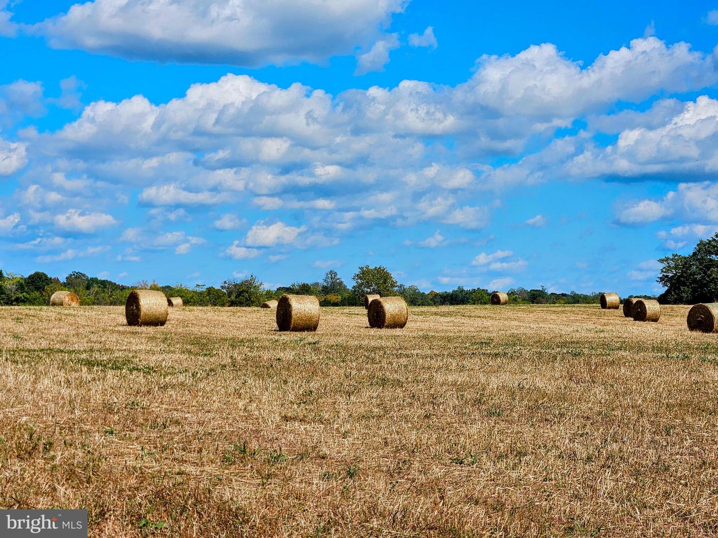 5474 WOODSIDE LN, BEALETON, Virginia 22712, 3 Bedrooms Bedrooms, ,2 BathroomsBathrooms,Farm,For Sale,5474 WOODSIDE LN,VAFQ2018414 MLS # VAFQ2018414