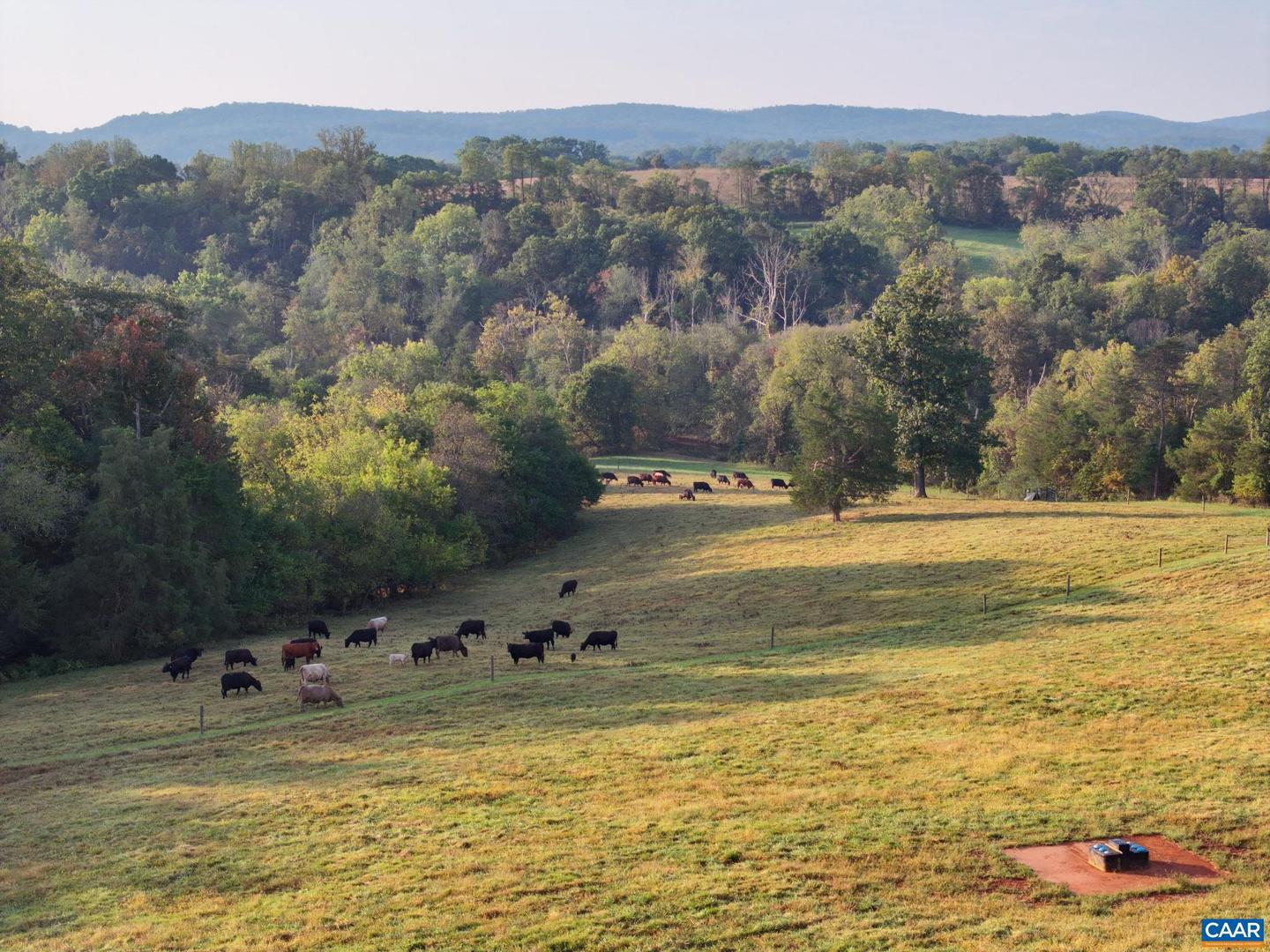 575 ARCADIAN WAY, ORANGE, Virginia 22960, 5 Bedrooms Bedrooms, ,4 BathroomsBathrooms,Farm,For Sale,575 ARCADIAN WAY,670256 MLS # 670256